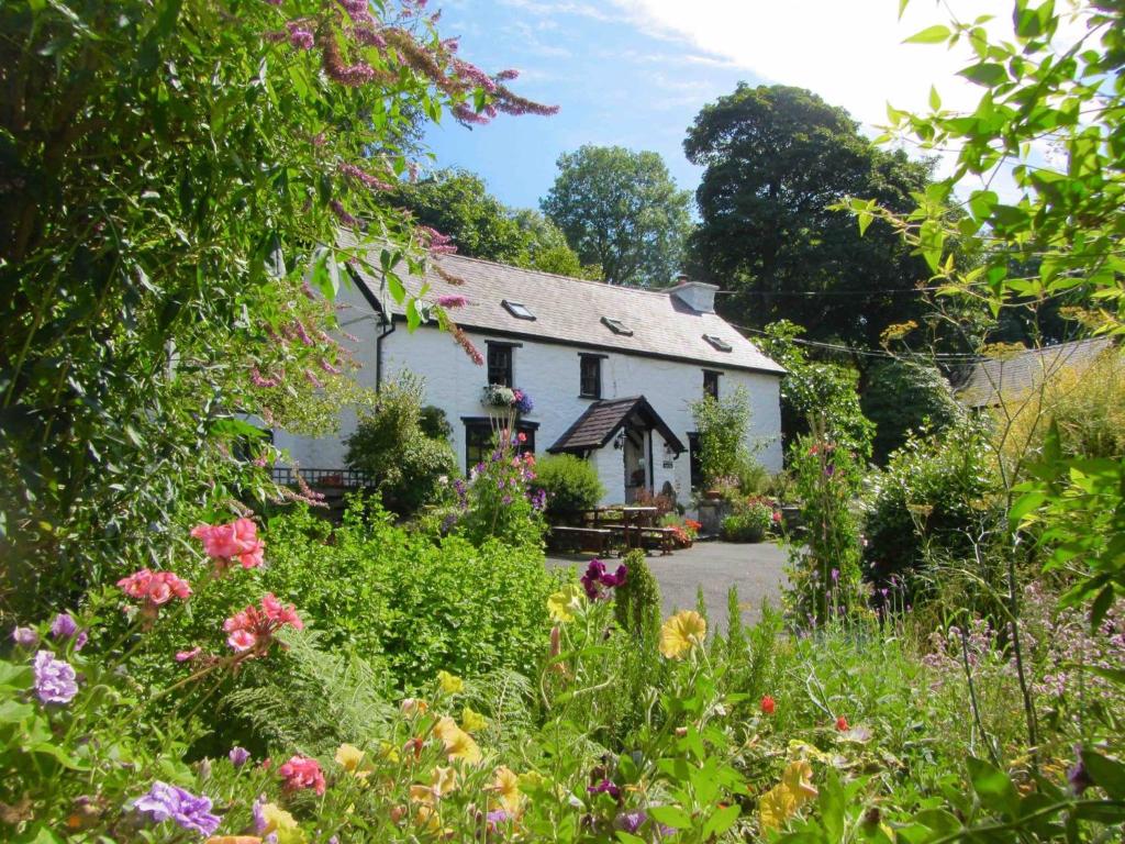 Brynarth Country Guest House wales