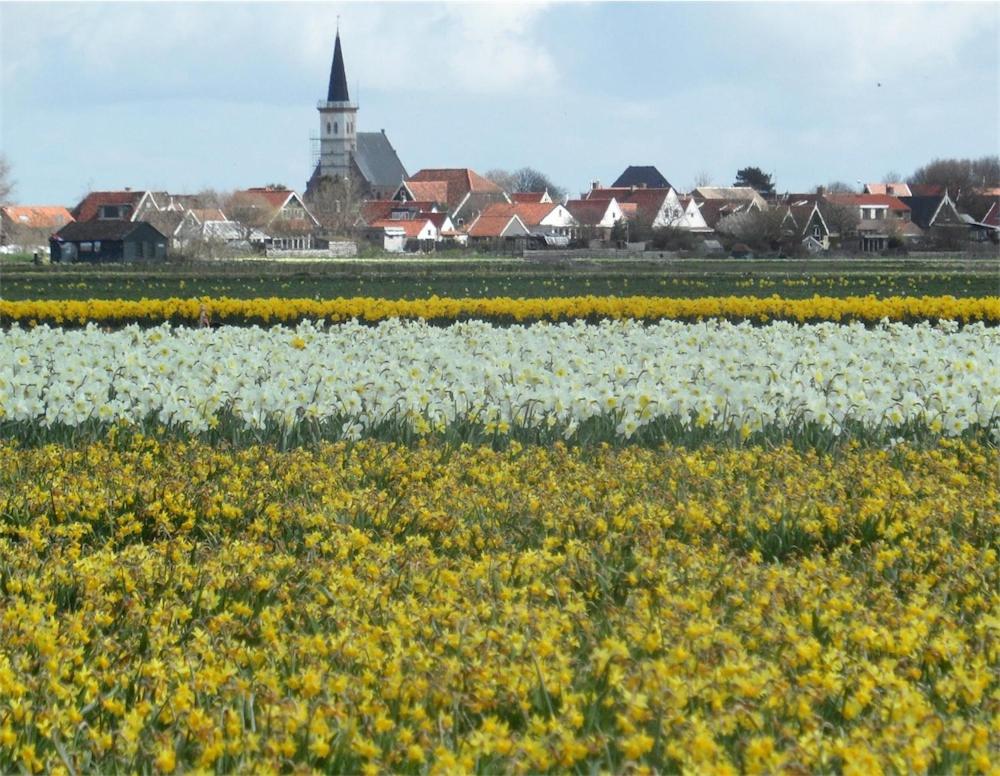 hotel b en b het spookhuis nederlands den hoorn kust nederland bloemen uitzicht